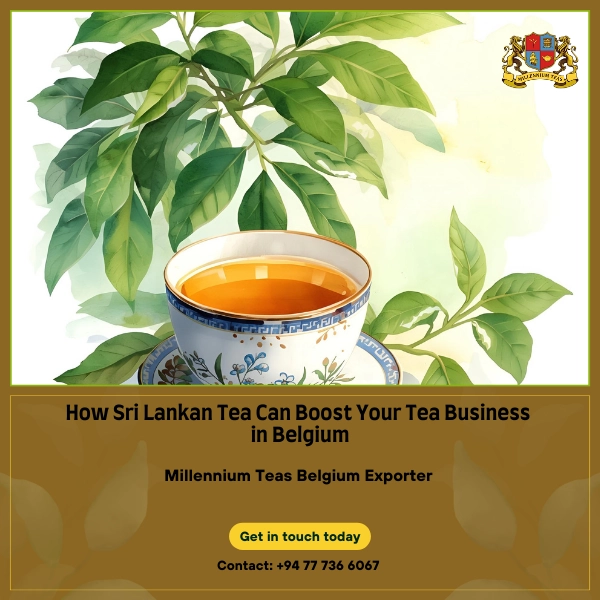 Belgium Tea Exporter