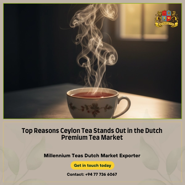 Top Reasons Ceylon Tea Stands Out in the Dutch Premium Tea Market