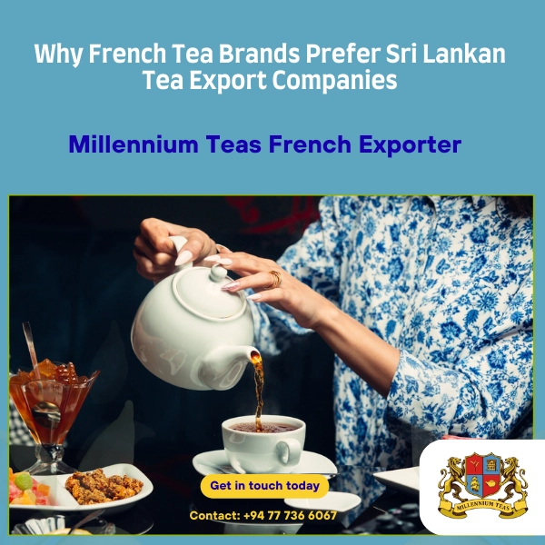 Why French Tea Brands Prefer Sri Lankan Tea Export Companies