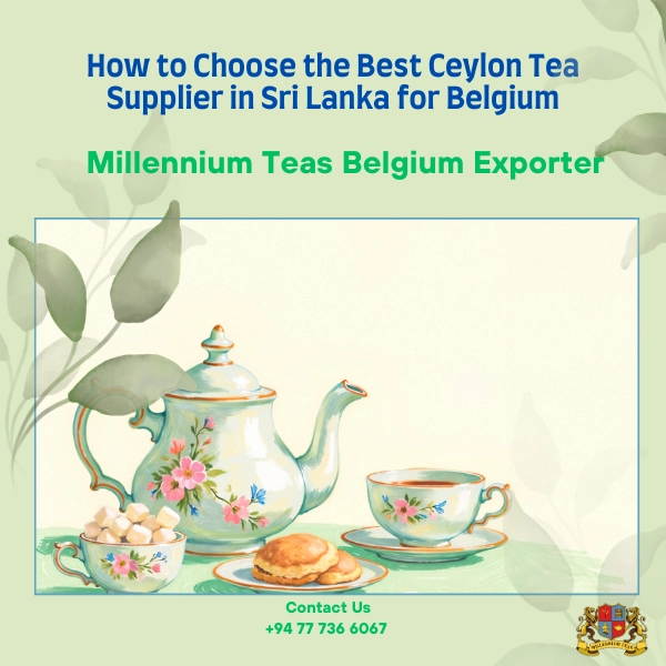 How to Choose the Best Ceylon Tea Supplier in Sri Lanka for Belgium